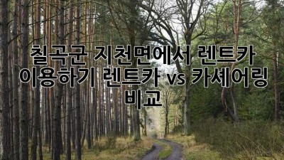 칠곡군 지천면에서 렌트카 이용하기: 렌트카 vs 카셰어링 비교